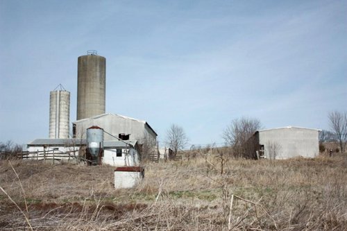 Property photo 10 - ABSOLUTE AUCTION - 298 Acres Offered in 4 Tracts